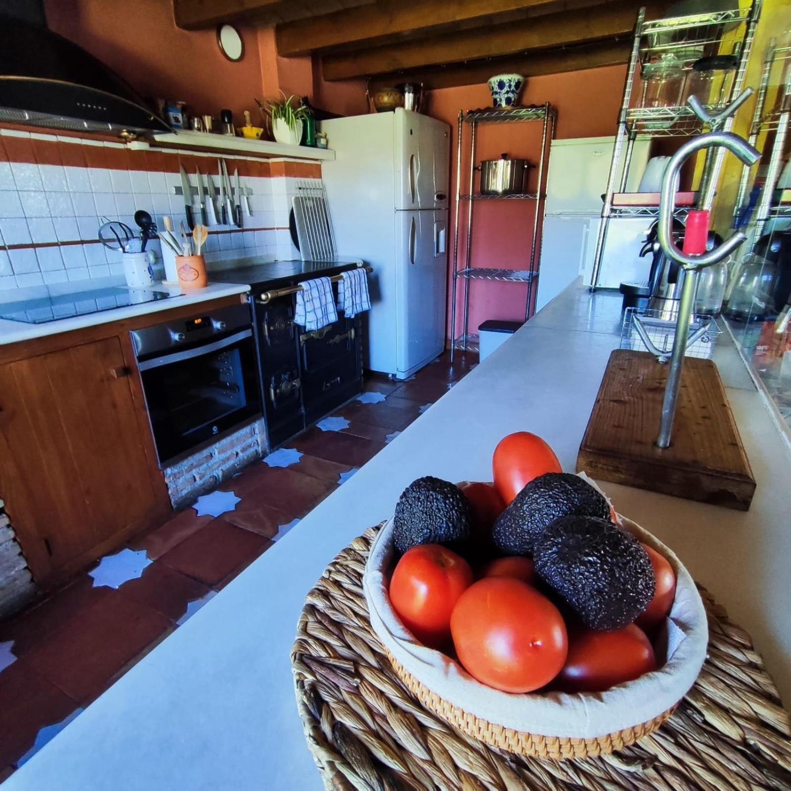 Maison d'hôtes Refugio Del Aguila "Casa Diaman" à Guejar Sierra Extérieur photo