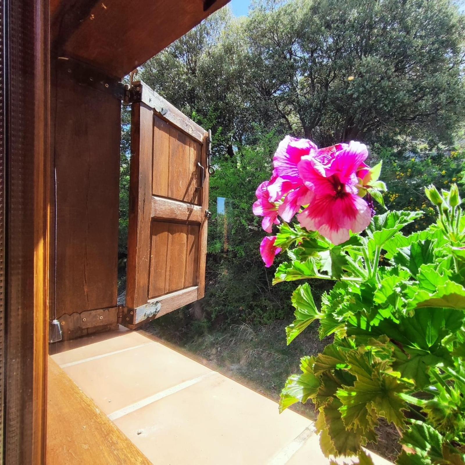 Maison d'hôtes Refugio Del Aguila "Casa Diaman" à Guejar Sierra Extérieur photo