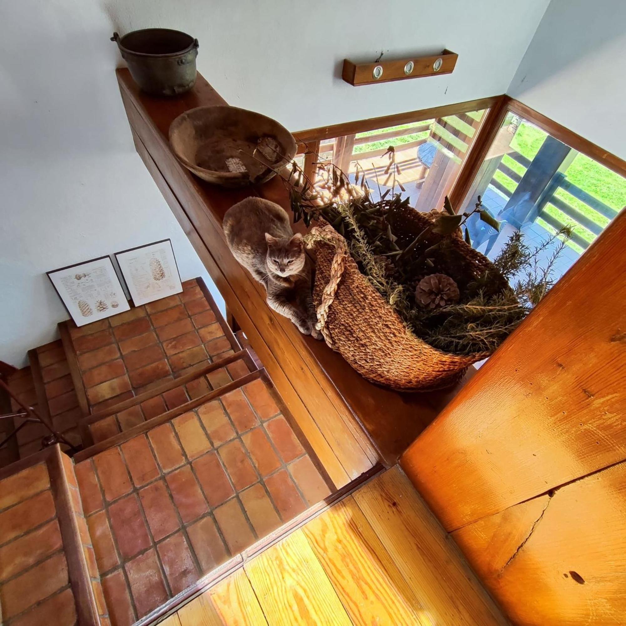 Maison d'hôtes Refugio Del Aguila "Casa Diaman" à Guejar Sierra Extérieur photo